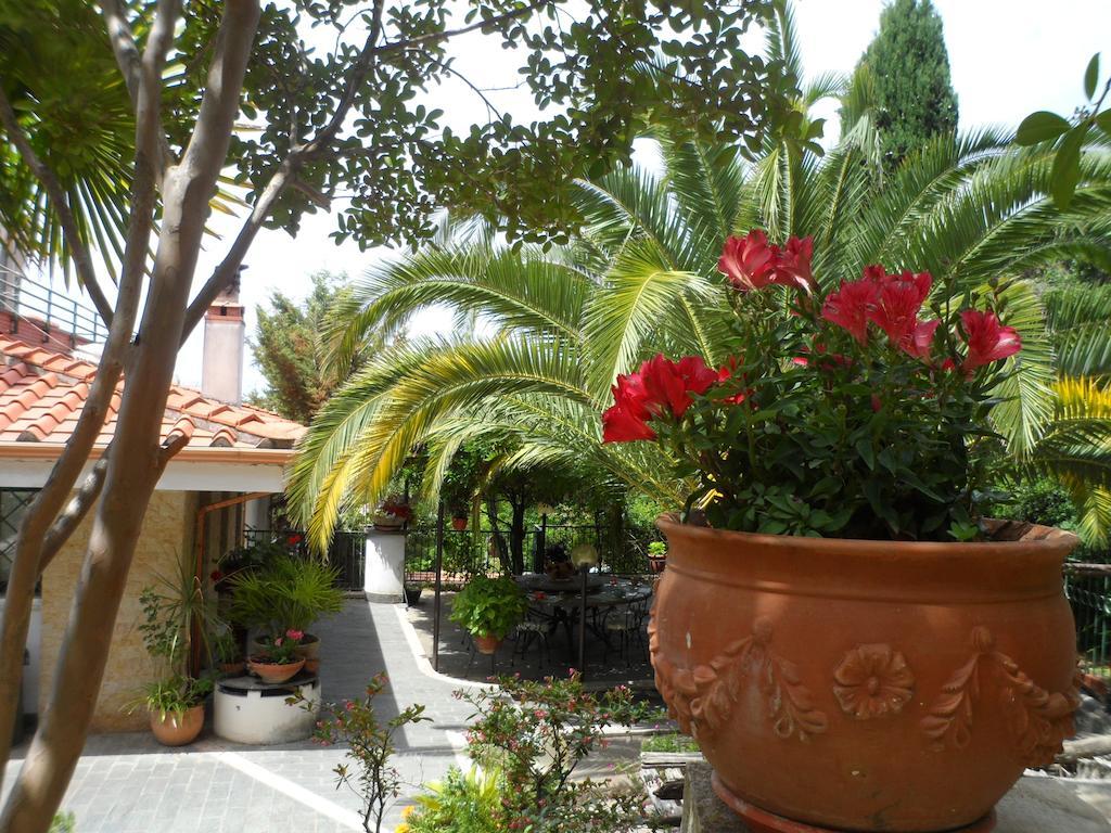Bed And Breakfast El Dueno 팔리누로 외부 사진
